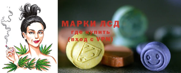 apvp Дмитров