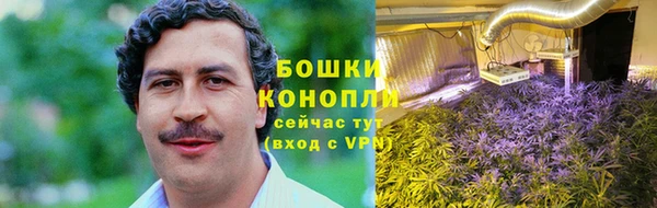 apvp Дмитров