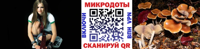 Псилоцибиновые грибы Cubensis  Купить где  Заполярный 